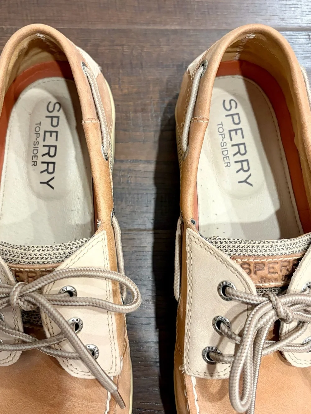 Sperry brand color